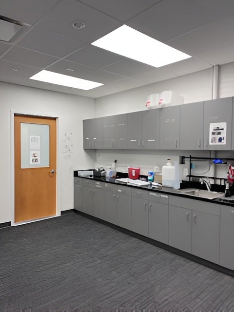 Clean lab counter space featuring gray cabinetry, a sink, and biological safety preparation areas